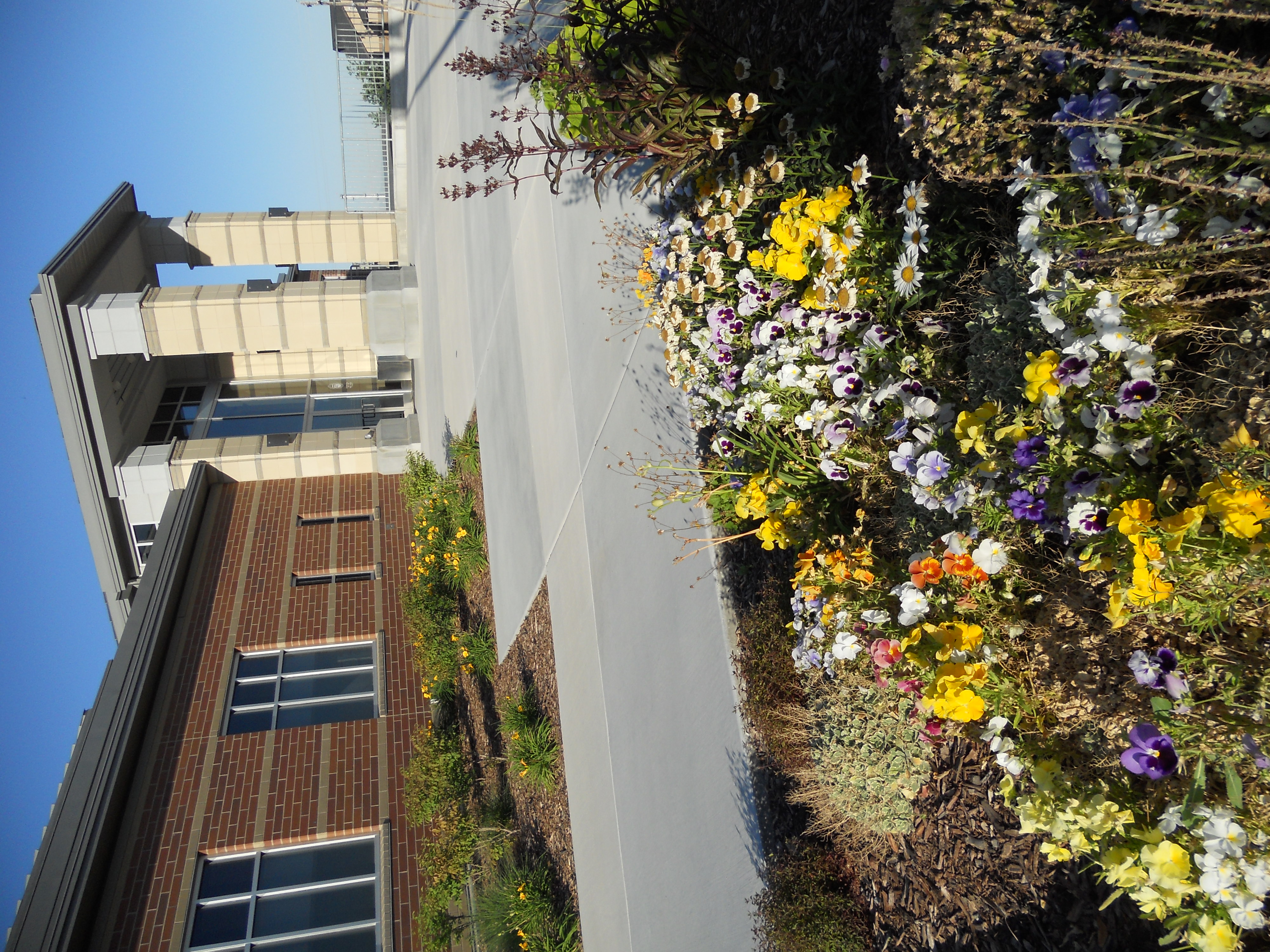 Money Magazine 2 108